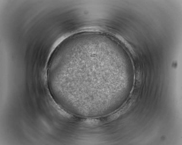 X0000100231466200806131325