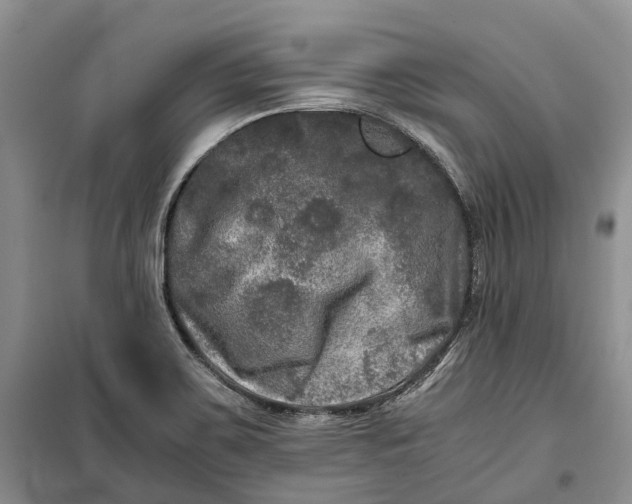 X0000100231467200806131325