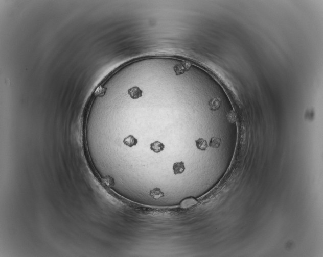 X0000100231468200806131325