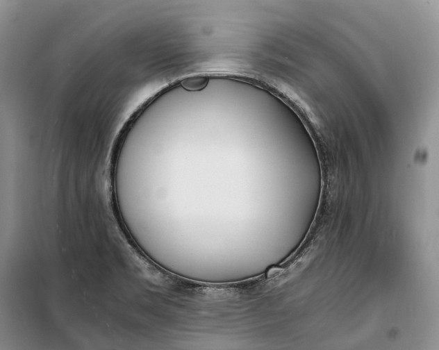 X0000100231469200806131325