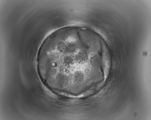 X0000100231471200806131325