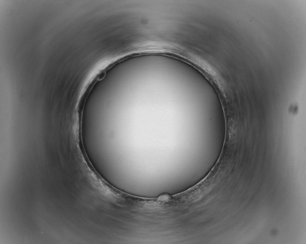 X0000100231472200806131325