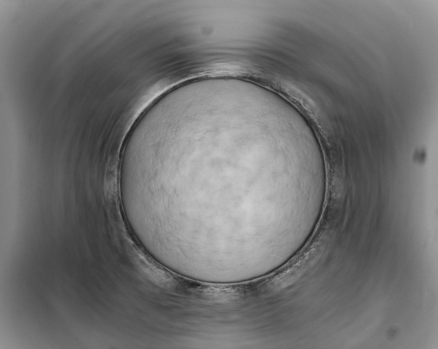 X0000100231473200806131325