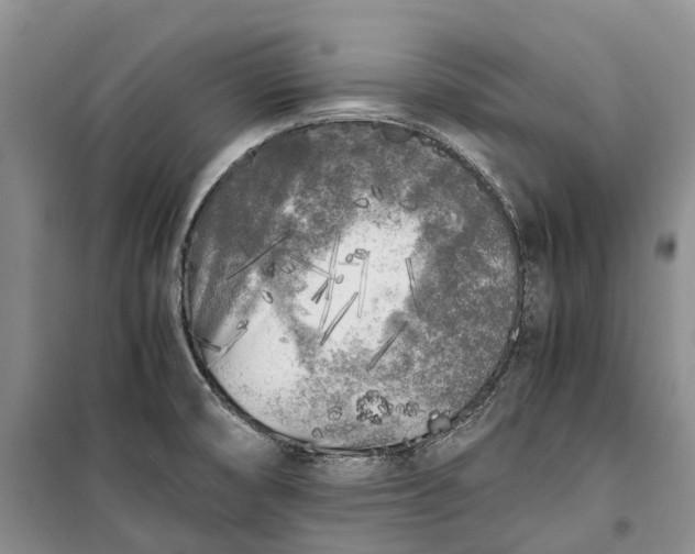 X0000100231474200806131325