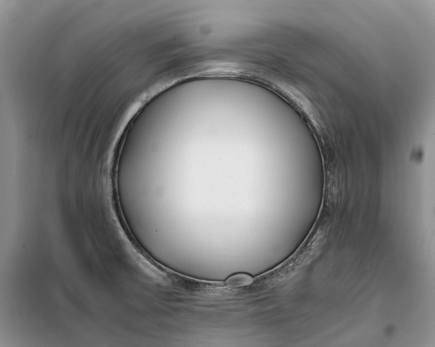 X0000100231475200806131325