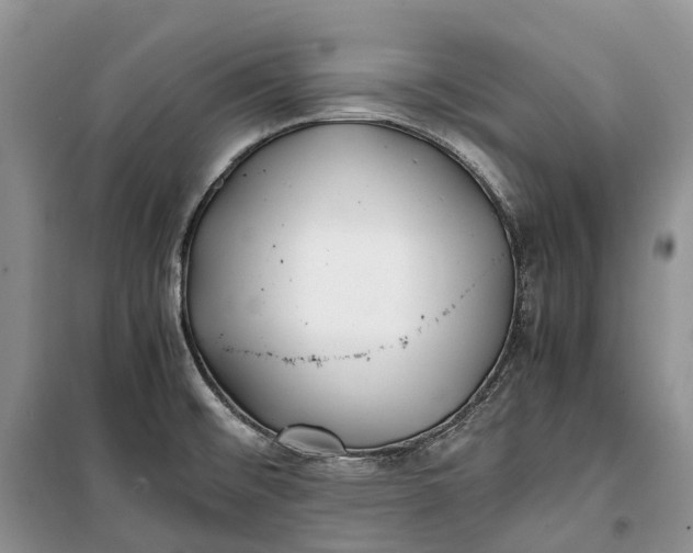 X0000100231476200806131325