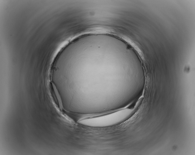 X0000100231477200806131325