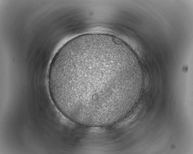 X0000100231478200806131325