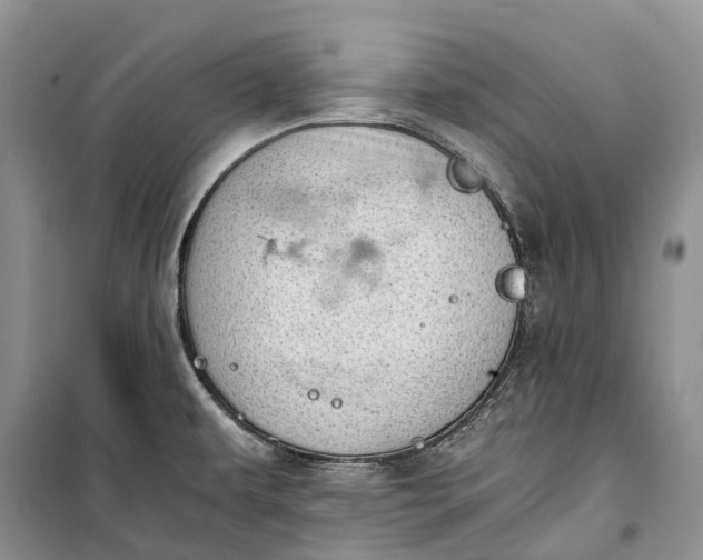 X0000100231479200806131325