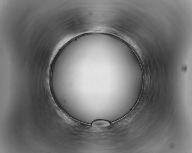 X0000100231480200806131325