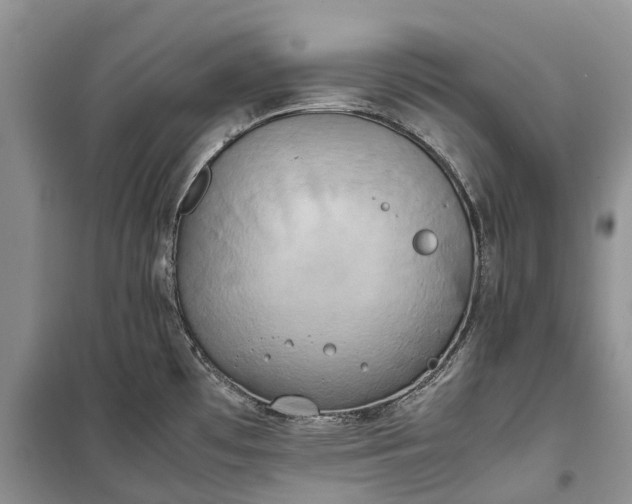 X0000100231481200806131325