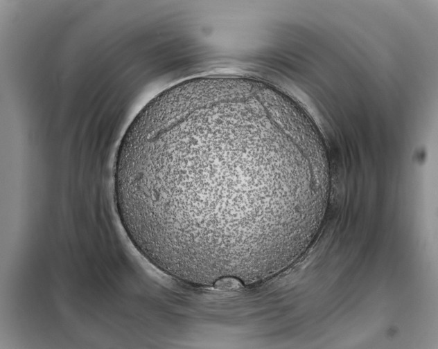 X0000100231483200806131325