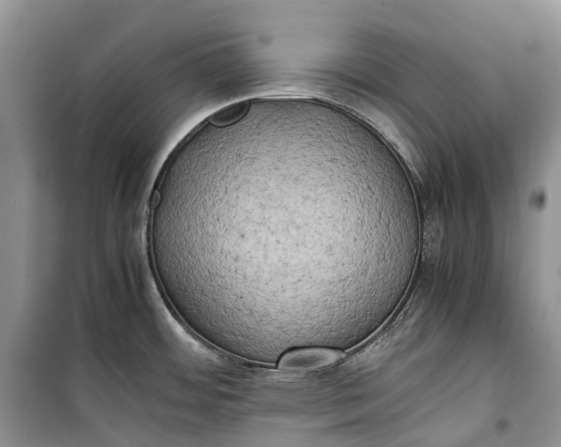 X0000100231484200806131325