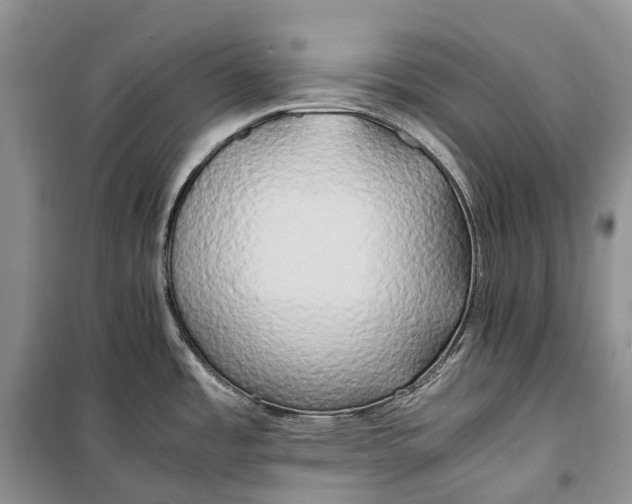 X0000100231485200806131325