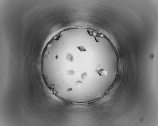 X0000100231486200806131325