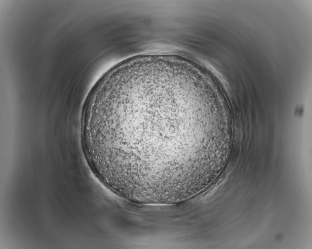 X0000100231487200806131325