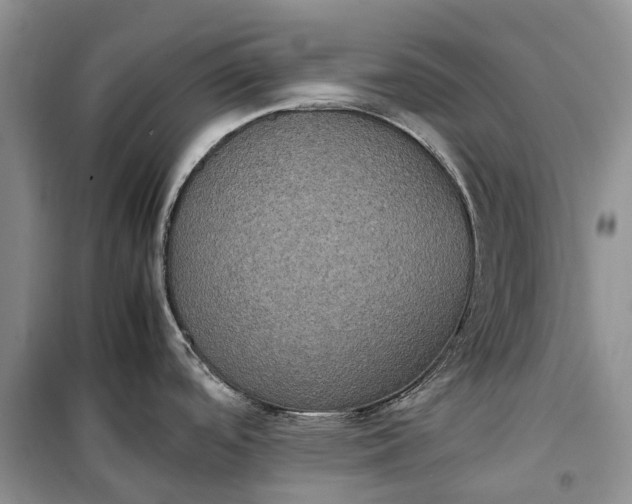 X0000100231488200806131325