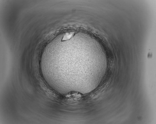 X0000100231489200806131324