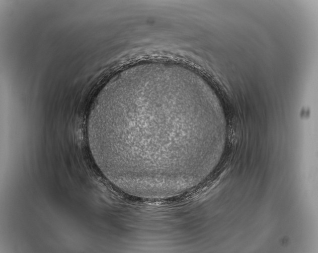 X0000100231490200806131324