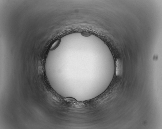 X0000100231491200806131325