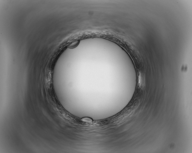 X0000100231492200806131325