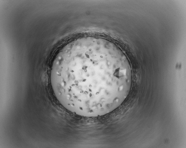 X0000100231493200806131325