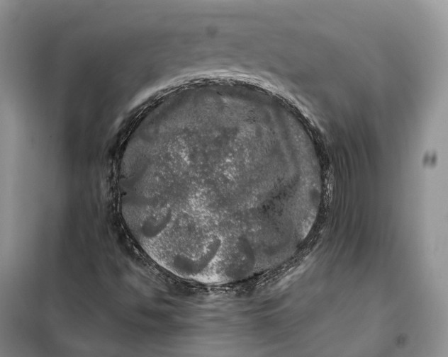 X0000100231494200806131325