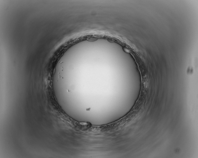 X0000100231495200806131325