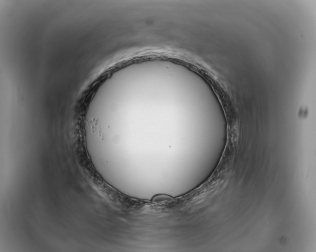 X0000100231496200806131325