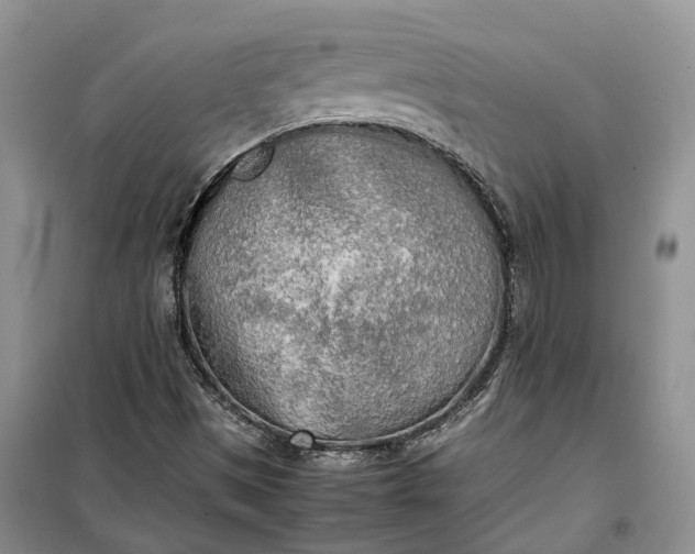 X0000100231497200806131325