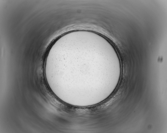 X0000100231498200806131325