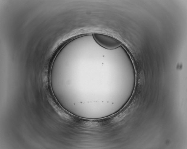 X0000100231499200806131325