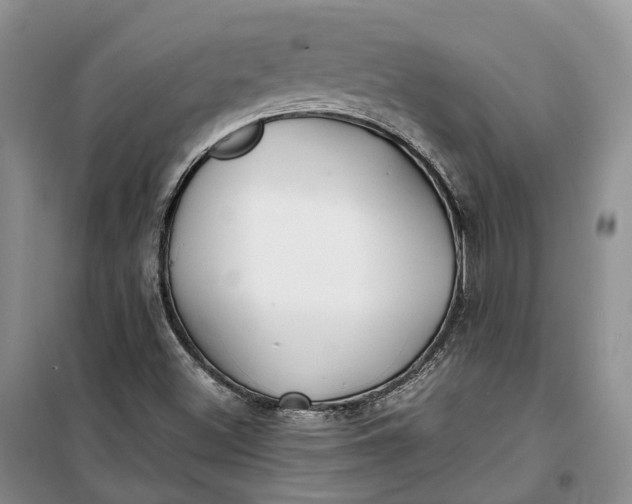 X0000100231500200806131325