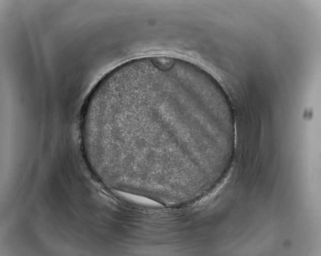 X0000100231501200806131325