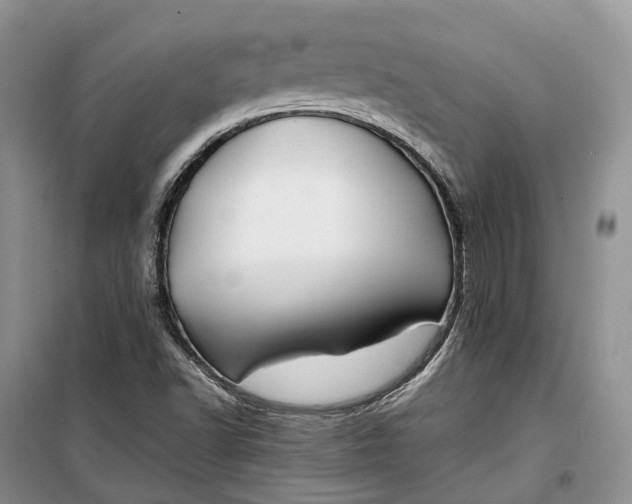 X0000100231502200806131325