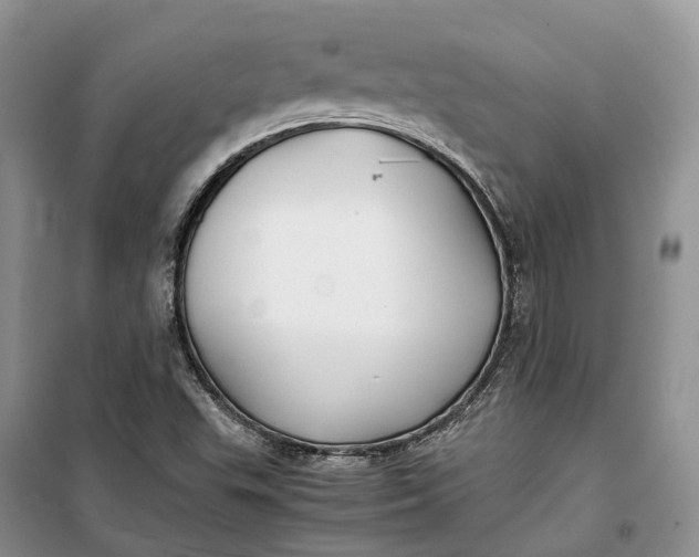 X0000100231503200806131325