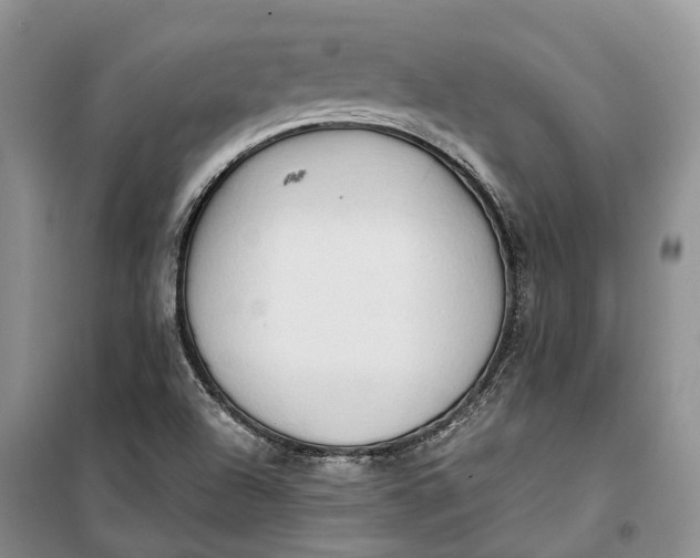 X0000100231504200806131325