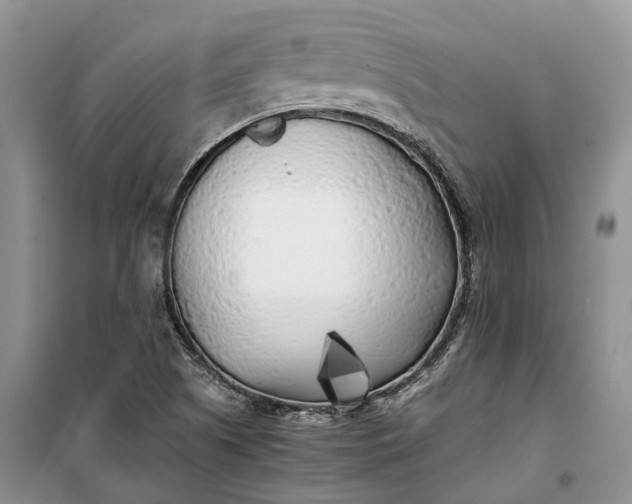 X0000100231505200806131325