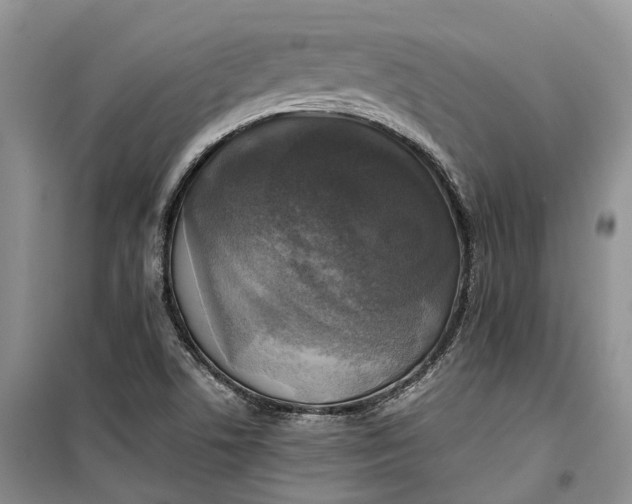 X0000100231506200806131325