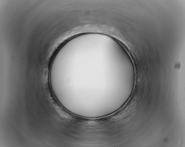 X0000100231507200806131325