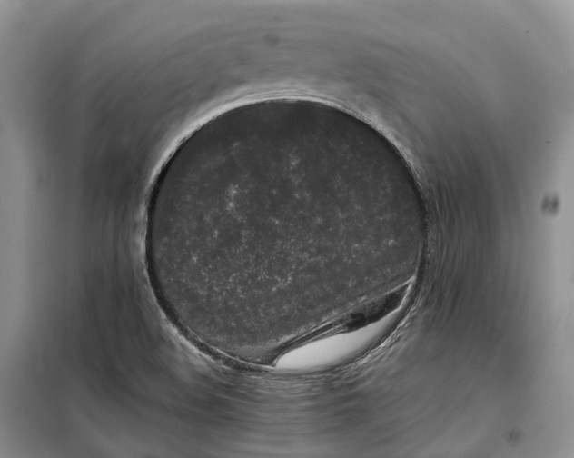 X0000100231508200806131325