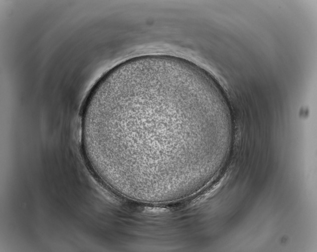 X0000100231509200806131325