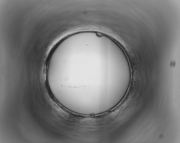 X0000100231510200806131325