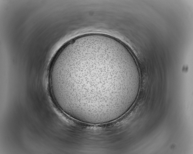 X0000100231511200806131325