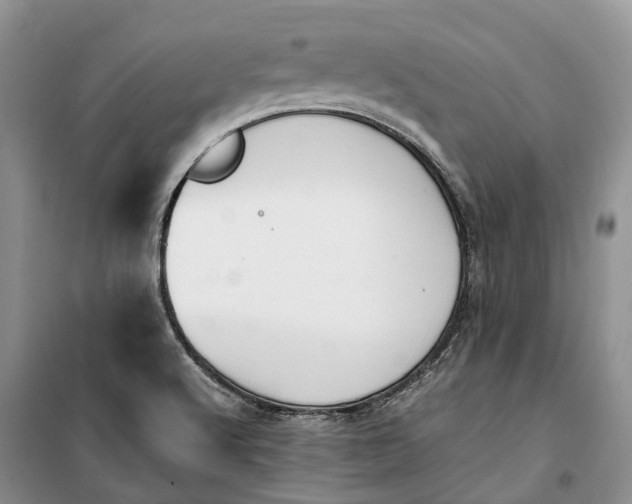 X0000100231512200806131325