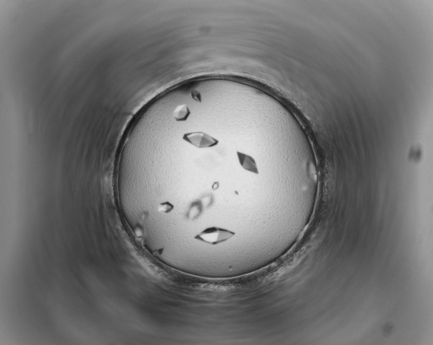 X0000100231513200806131325