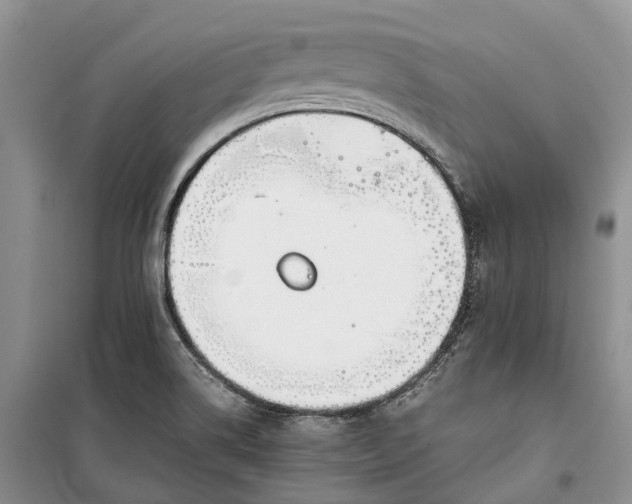 X0000100231514200806131325