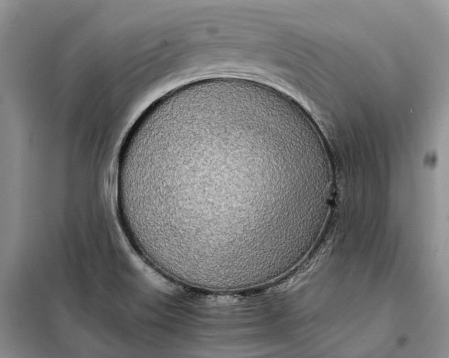 X0000100231515200806131325