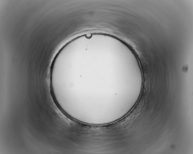 X0000100231516200806131325