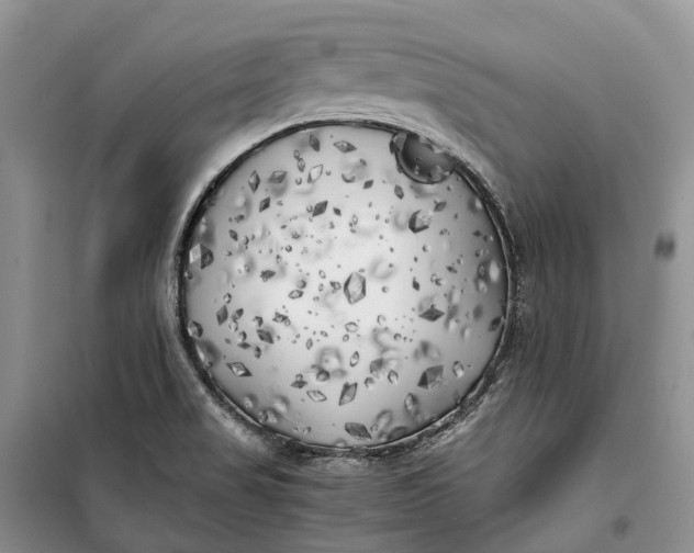 X0000100231517200806131325